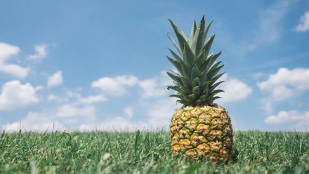 Прогноз погоды в Воронежской области на 8 августа