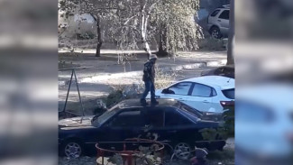 В Воронеже дети попрыгали на крыше Mercedes: появилось видео