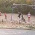 СК возбудил уголовное дело после нападения собаки на 7-летнего ребёнка