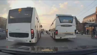 В Воронеже двух водителей автобусов оштрафовали за проезд на красный свет
