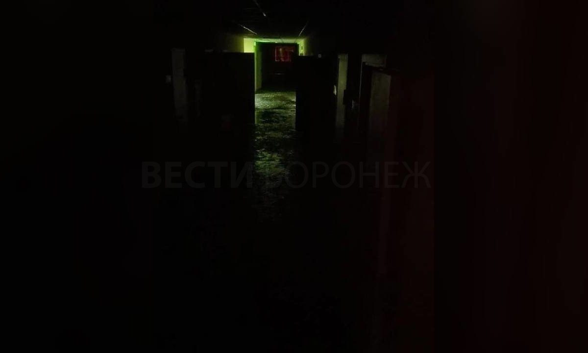 В Воронеже студентов эконома ВГУ на месяц отправили на дистант из-за  фекального потопа – Новости Воронежа и Воронежской области – Вести Воронеж