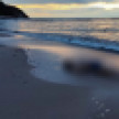 Туриста из Воронежа нашли мёртвым на пляже у Балтийского моря