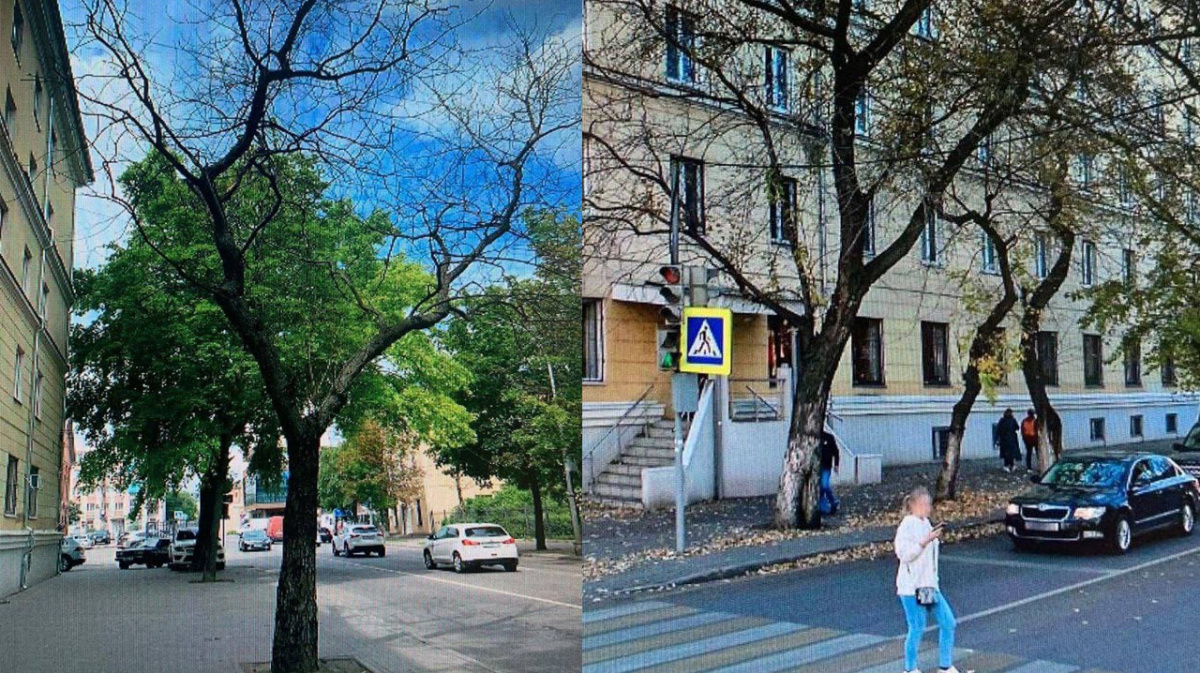 Движение на центральной улице в Воронеже запретят на 5 часов | 07.11.2023 |  Воронеж - БезФормата