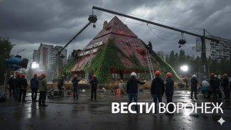 В Воронеже с помощью нейросети создадут фильм про апокалипсис