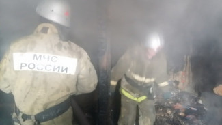 В ночном пожаре погиб житель воронежского села