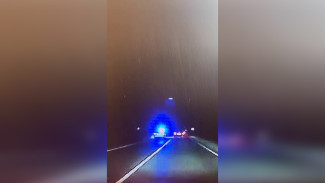 Погоню за пьяным лихачом в Воронежской области сняли на видео
