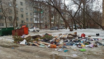 На ремонт мусорных площадок в Левобережном районе Воронежа потратят 50 млн рублей