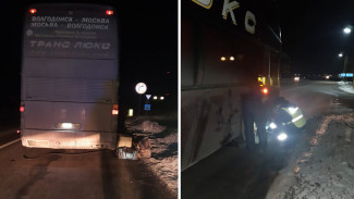 Ехавший в Москву автобус с пассажирами застрял на воронежской трассе в сильный мороз