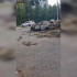 Последствия пожара в воронежском техцентре «АвтоАтлас» сняли на видео