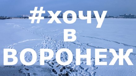Подборка 9 лучших фотографий воронежцев из соцсетей за неделю