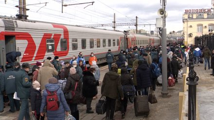В Воронежской области предложили запустить пилотный проект интеграции беженцев