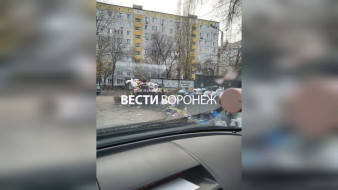 Жильцы воронежской 9-этажки пожаловались на кишащую грызунами свалку
