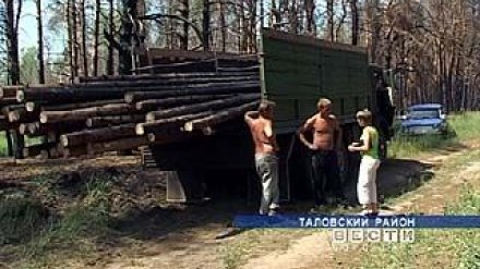 Даже на пепелище ушлые жители Таловой умудряются делать деньги
