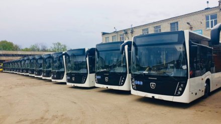 В Воронеже 20 автобусов изменят маршрут из-за перекрытия проспекта Революции