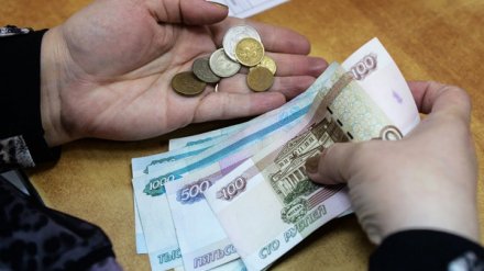 Аналитики рассказали, когда воронежцам ждать повышения зарплат