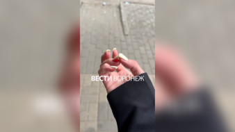 Разбитый айфон и вырванные ногти. Мужчина напал на девушку на воронежском «Винзаводе»