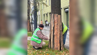 В Воронеже деревья в Ленинском районе нарядили в «юбки»