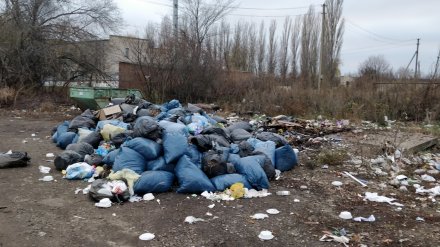 Жители посёлка под Воронежем пожаловались на стихийную свалку у школьного забора