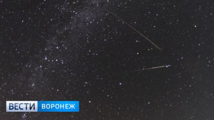 Воронежцы в августе увидят мощнейший звездопад года