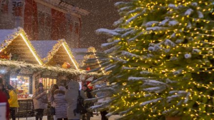 Движение по одной из улиц Воронежа перекроют в ночь на Рождество