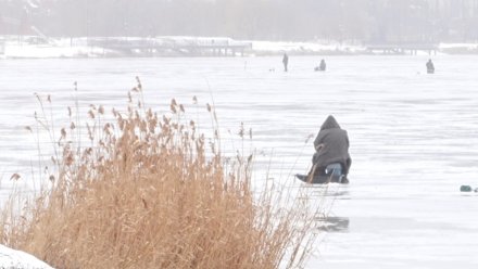 Лёд на воронежских водоёмах стал смертельно опасным
