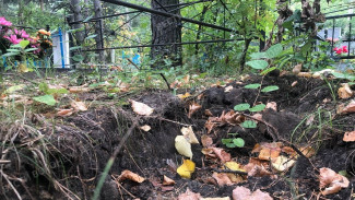 Появились фото могилы, на которой мать оставила пакет с телом убитого младенца в Воронеже