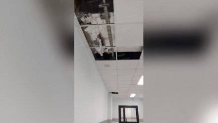 В новом корпусе воронежской школы «Траектория» обвалился потолок
