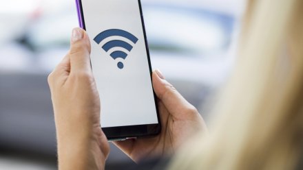 Воронежцы начали охоту на общественный Wi-Fi