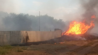 Пятый класс пожароопасности ввели в 28 районах Воронежской области