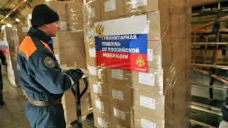 Воронежская область собрала гуманитарную помощь для охваченного коронавирусом Китая
