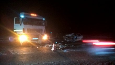 На воронежской трассе в ДТП с грузовиком погибли два человека, 12-летняя девочка выжила