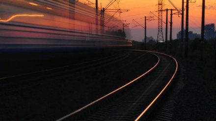 Пять поездов задержали из-за пожара в электричке под Воронежем