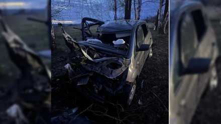 Пьяная автомобилистка на Kia вылетела в кювет на воронежской трассе