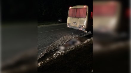 Под Воронежем автобус насмерть переехал упавшего под колёса пешехода
