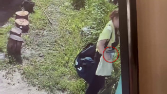 Работу курьера мошенников сняли на видео в Воронеже
