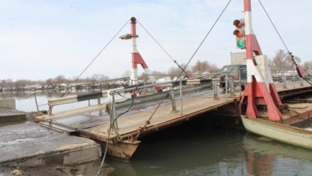 В Новоживотинном под Воронежем открыли мост через Дон