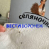 Жительница Воронежа купила в магазине рис с личинками
