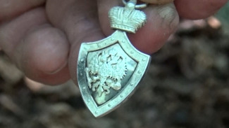 В Воронежской области егерь нашёл серебряный именной знак от Николая II