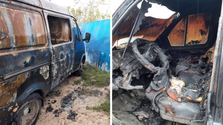 Воронежец сжёг автомобиль коллеги из-за ревности к жене