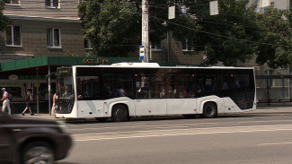 Мэрия Воронежа разорвёт контракты с 4 перевозчиками