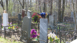 В Воронеже из-за коронавируса вырос спрос на платную уборку могил