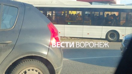 Автобус вылетел на бордюр на Остужевском кольце в Воронеже