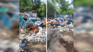 Воронежцы пожаловались на жуткую вонь от огромной свалки