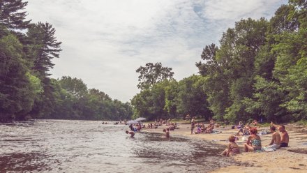 Холероподобный вибрион нашли в воде возле 18 воронежских пляжей