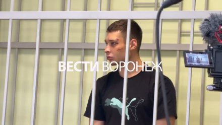 Участники жёсткой драки на проспекте Революции в Воронеже встретят Новый год в СИЗО