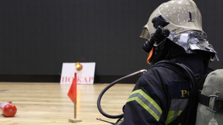 Воронежцев предупредили о скоплении спасателей и пожарных у «ГЧ»