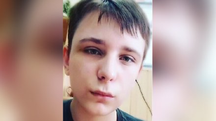 Воронежцев попросили о помощи в поисках 14-летнего подростка