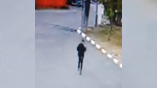 Воронежец ограбил прохожего в лесопарке