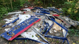 Свалку вывесок Gloria Jeans обнаружили в воронежской Нагорной дубраве