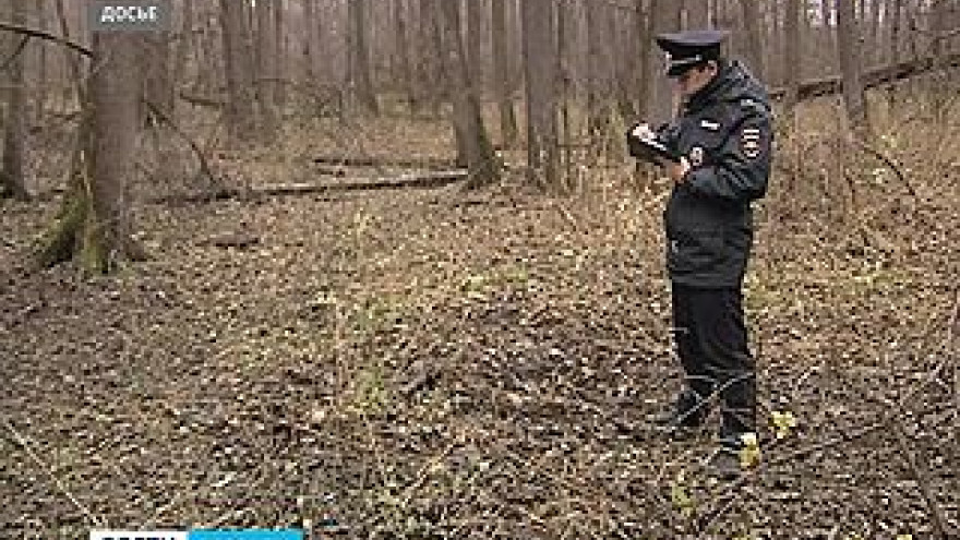 Новый закон может спровоцировать нашествие в леса браконьеров